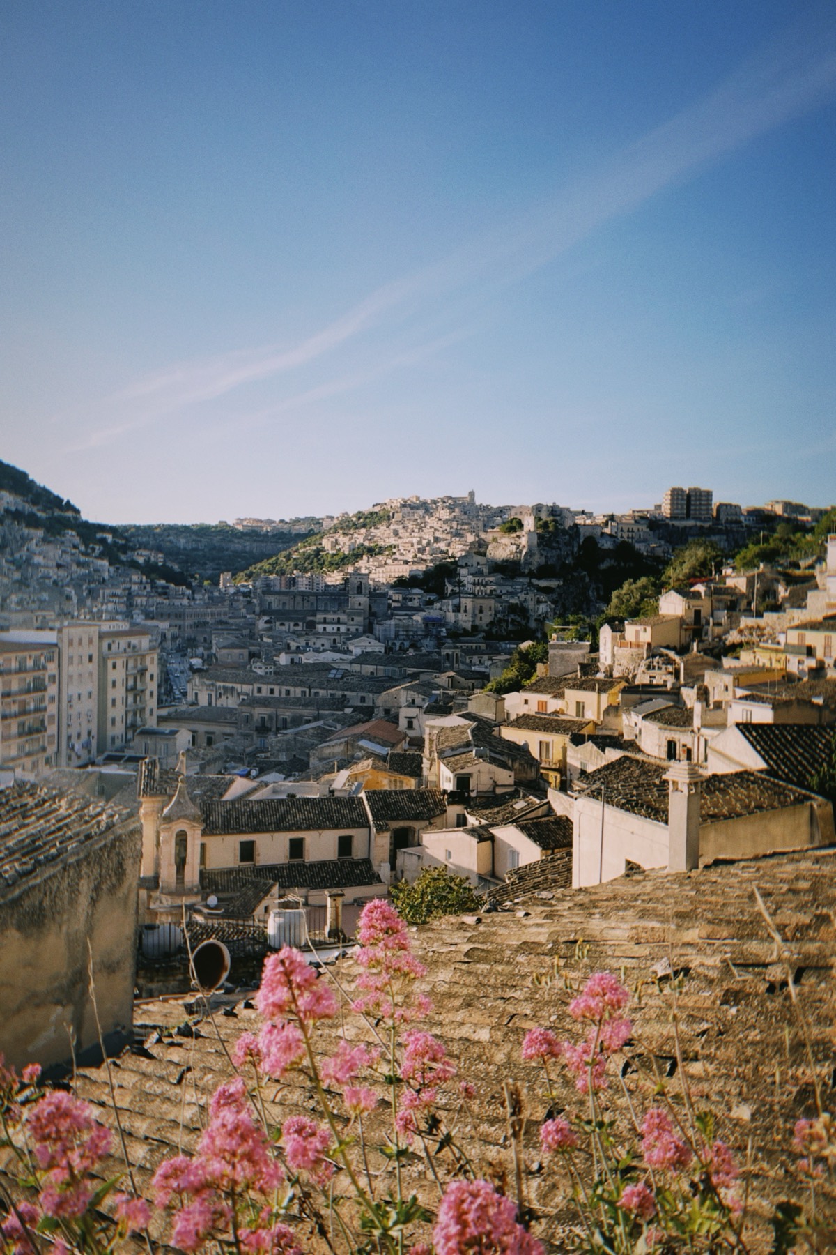 The baroque town of Modica with pink valerian flowers in the foreground